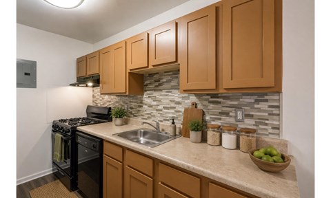 441 N Armistead Street 1-3 Beds Apartment for Rent