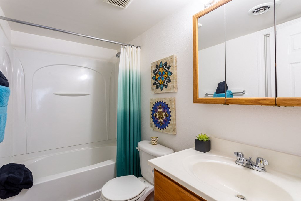 a bathroom with a shower toilet and sink and a mirror