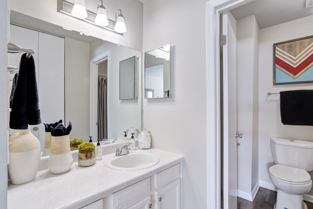 a bathroom with a sink and a toilet and a mirror