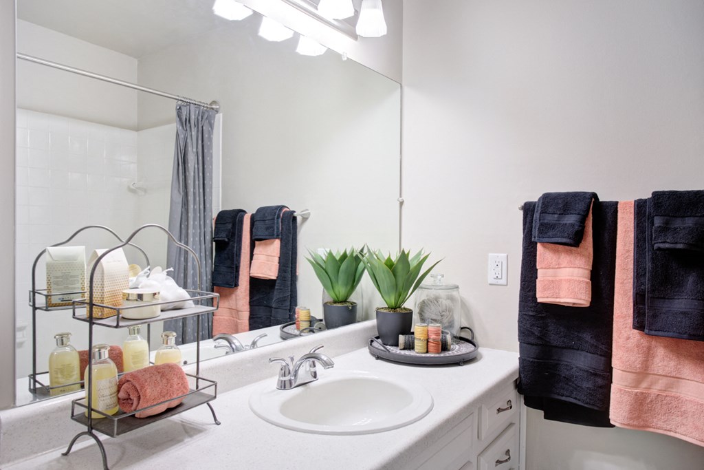 a bathroom with a sink and a mirror and a towel rack