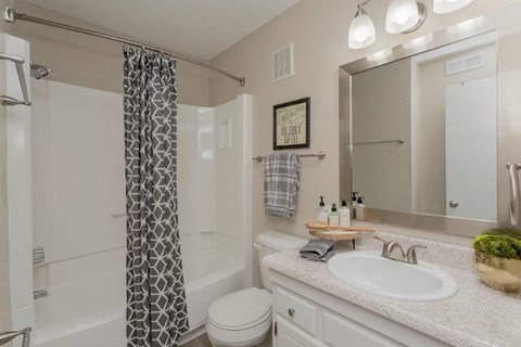 a bathroom with a sink and a toilet and a shower
