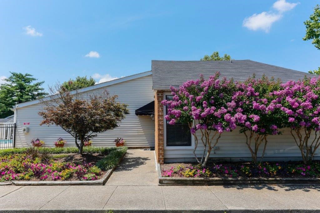 a small white house with a flowering tree in front of it