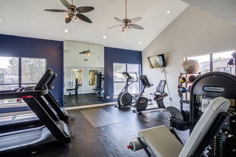 the gym has plenty of equipment for a cardio workout