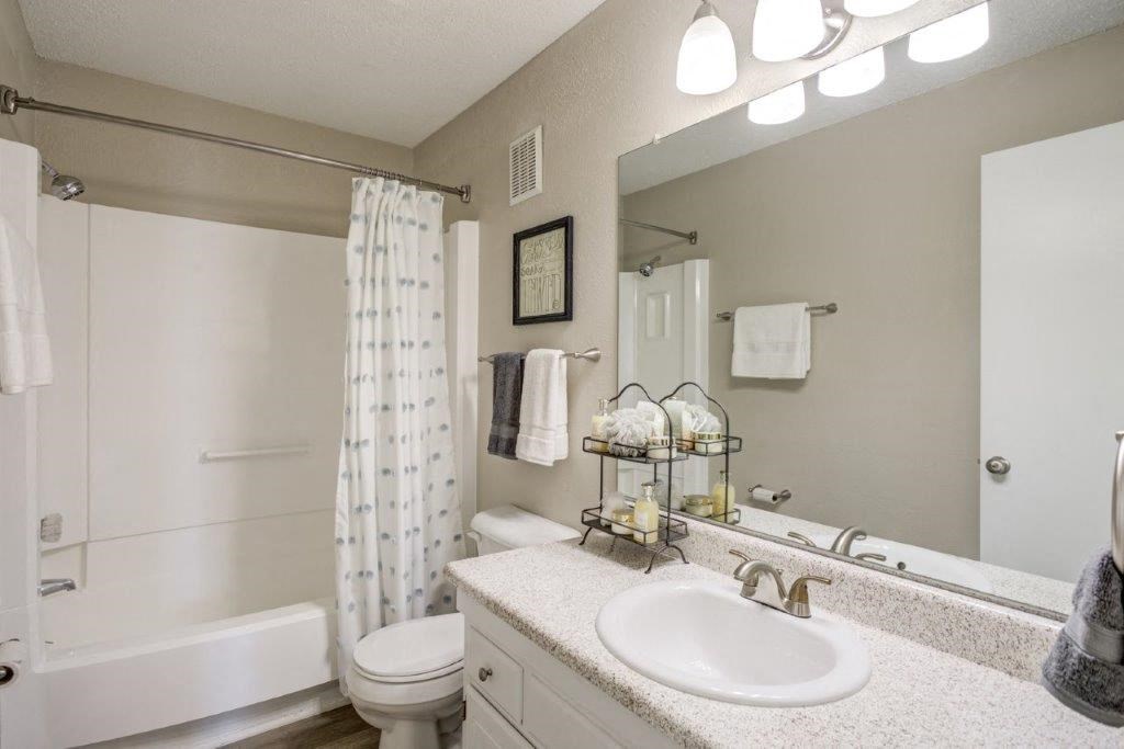 a bathroom with a sink and a toilet and a mirror