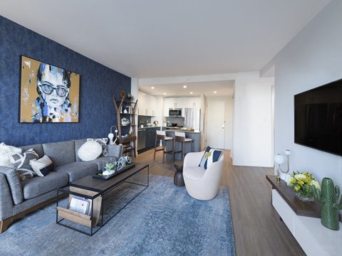 a living room with a blue rug and a couch and a tv