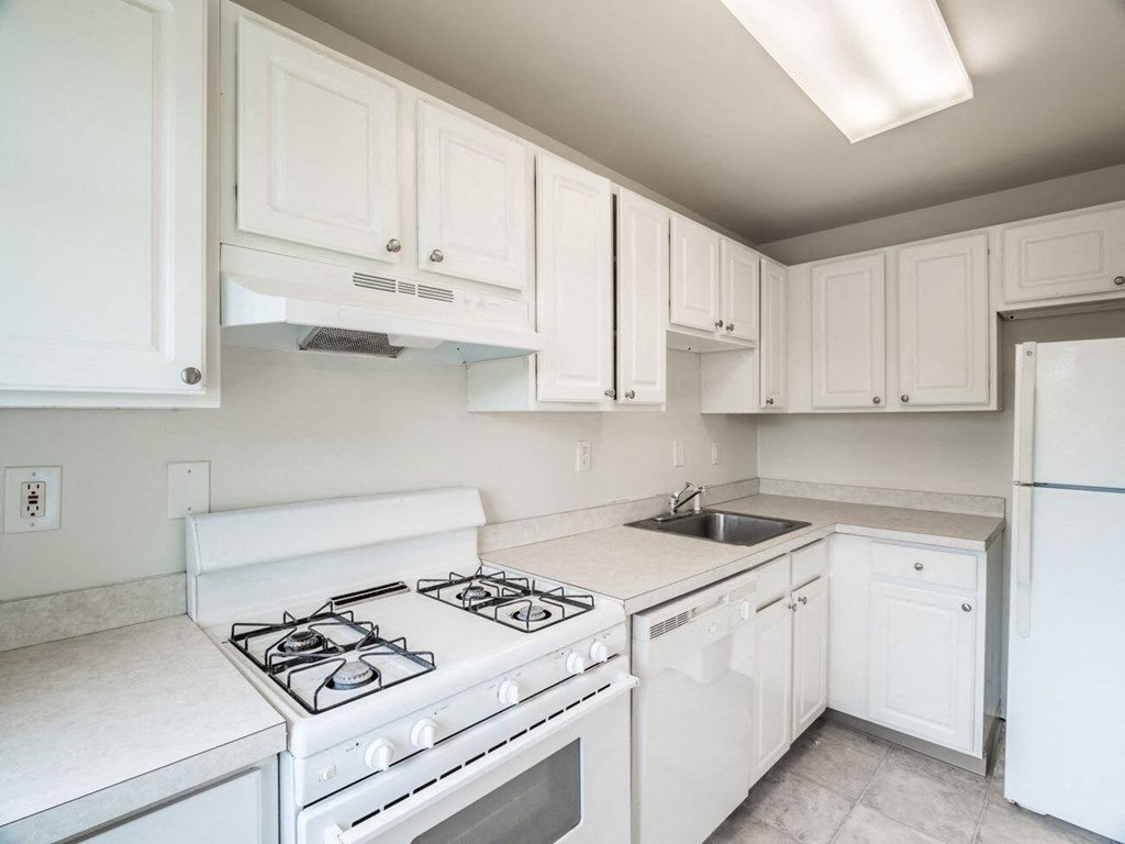 Westfalen Apartments - Kitchen / Gas Range / Range Hood / Dishwasher / Refrigerator / White Cabinets / Vinyl flooring