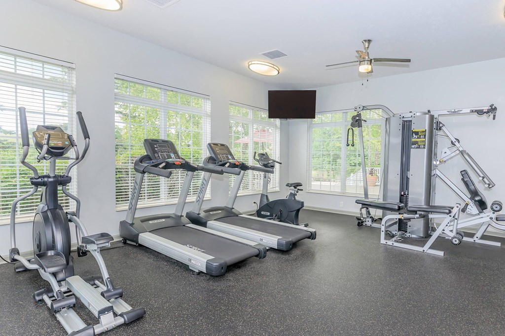 the gym has plenty of cardio equipment and windows