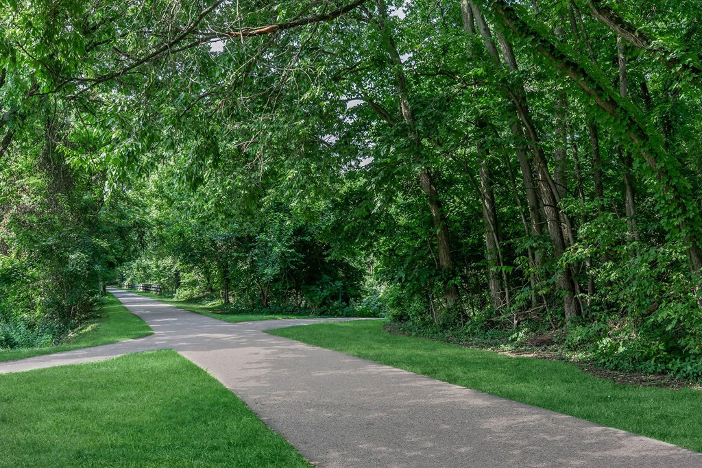 a path through a park with trees and grass