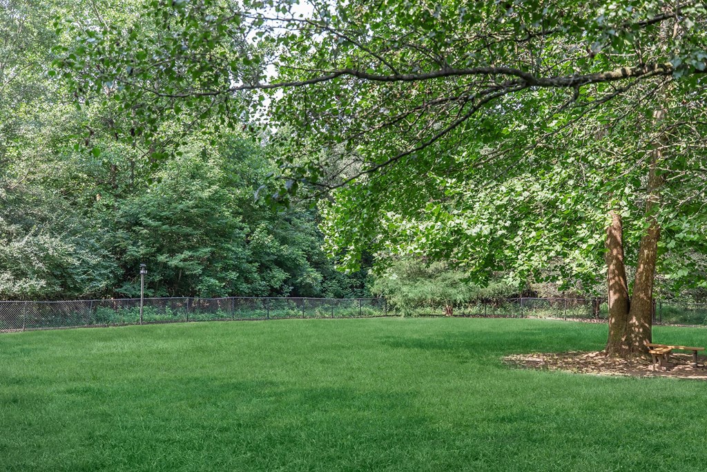 a large grass field with trees and a fence