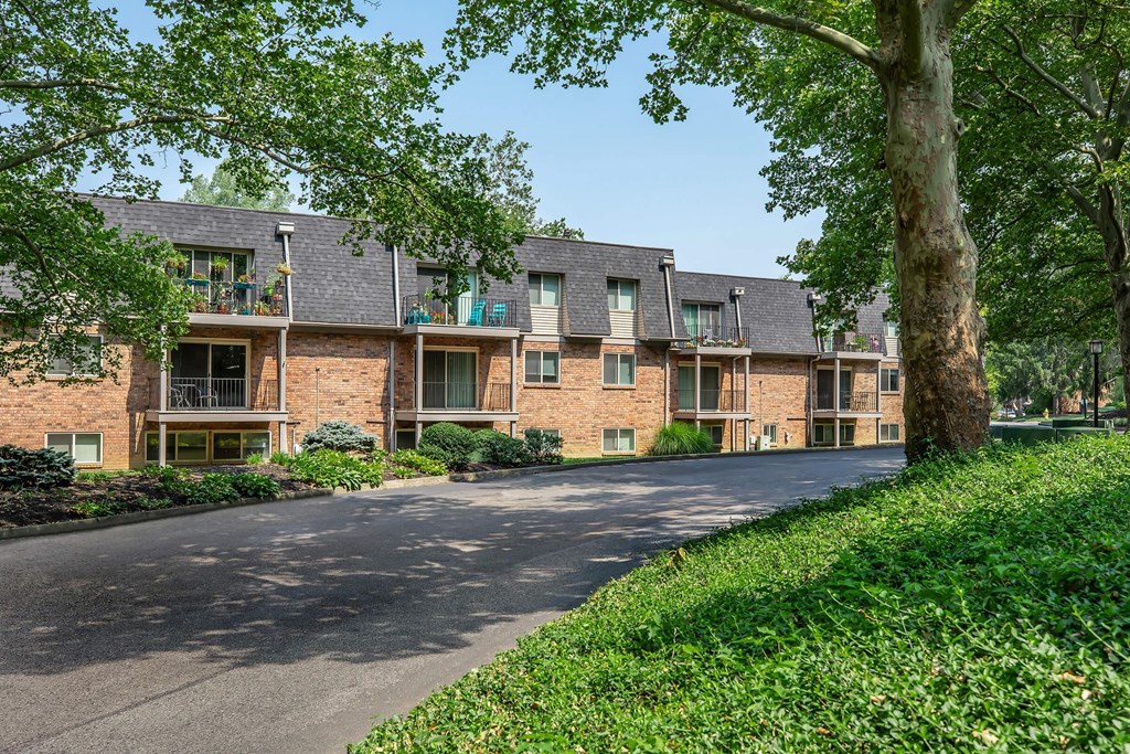 a street view of an apartment building with a tree
