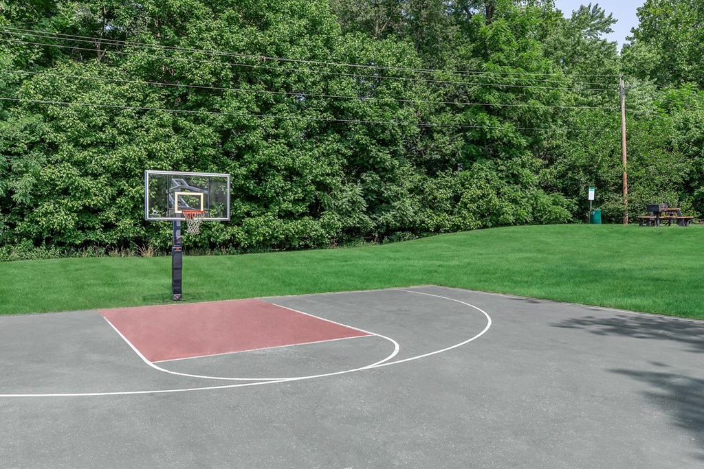 a basketball court in the middle of a park