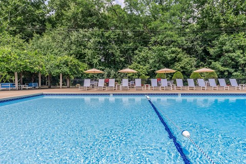a swimming pool with chairs and umbrellas at a resort