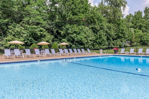 a swimming pool with chairs and umbrellas at a resort