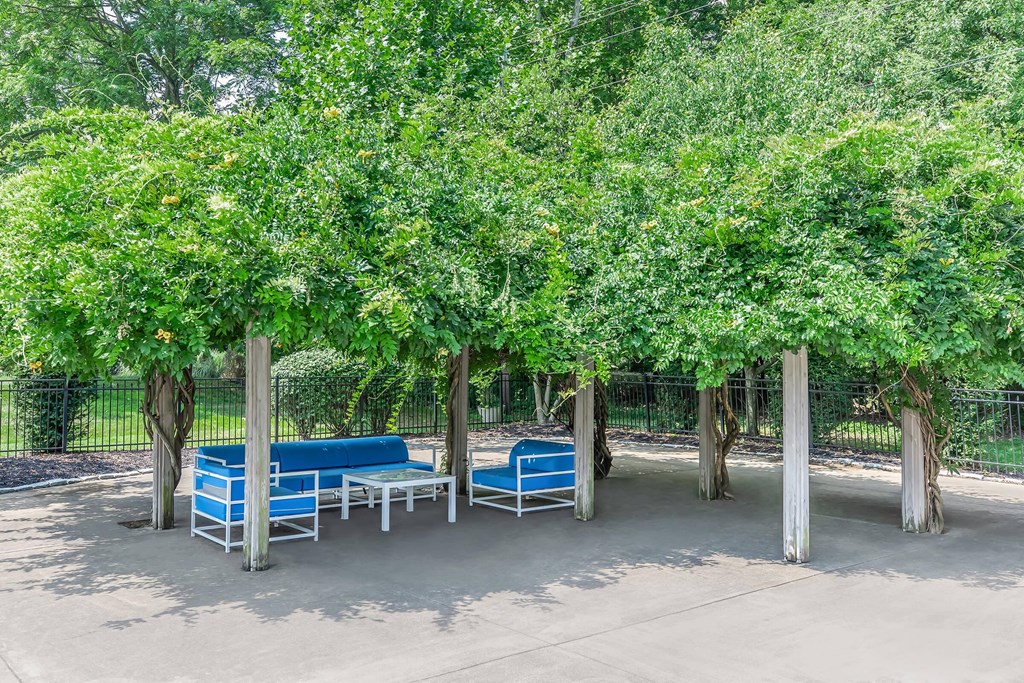 a seating area under trees with benches and chairs