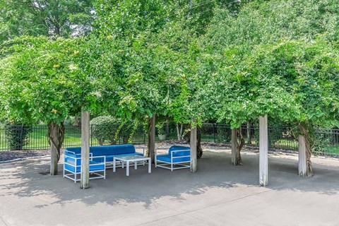 a seating area under trees with benches and chairs