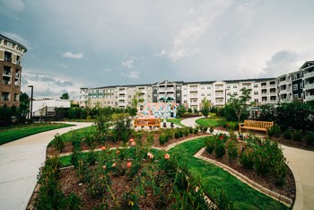 Splendid Rose Garden Splendid Rose Garden at The Roseberry, South Carolina - Photo Gallery 2