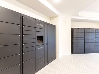 Modern Parcel Lockers at The Roseberry, Columbia, 29223
