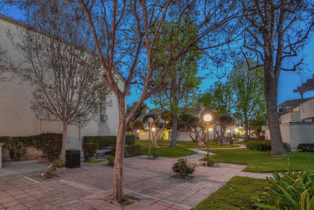 a courtyard with trees and street lights at night