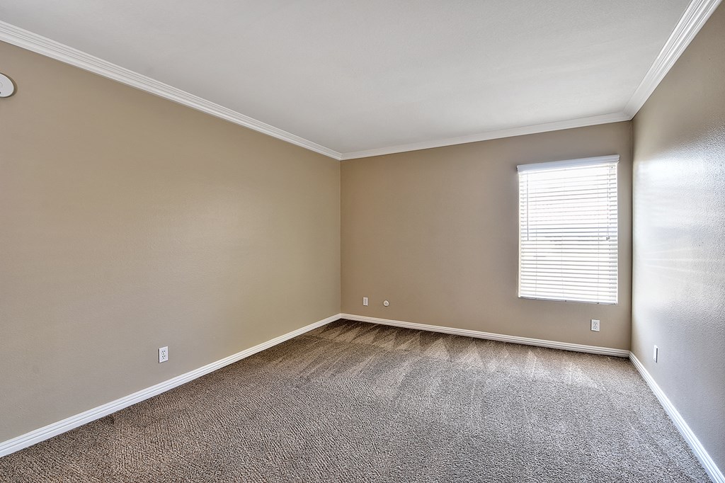 an empty room with carpet and a window
