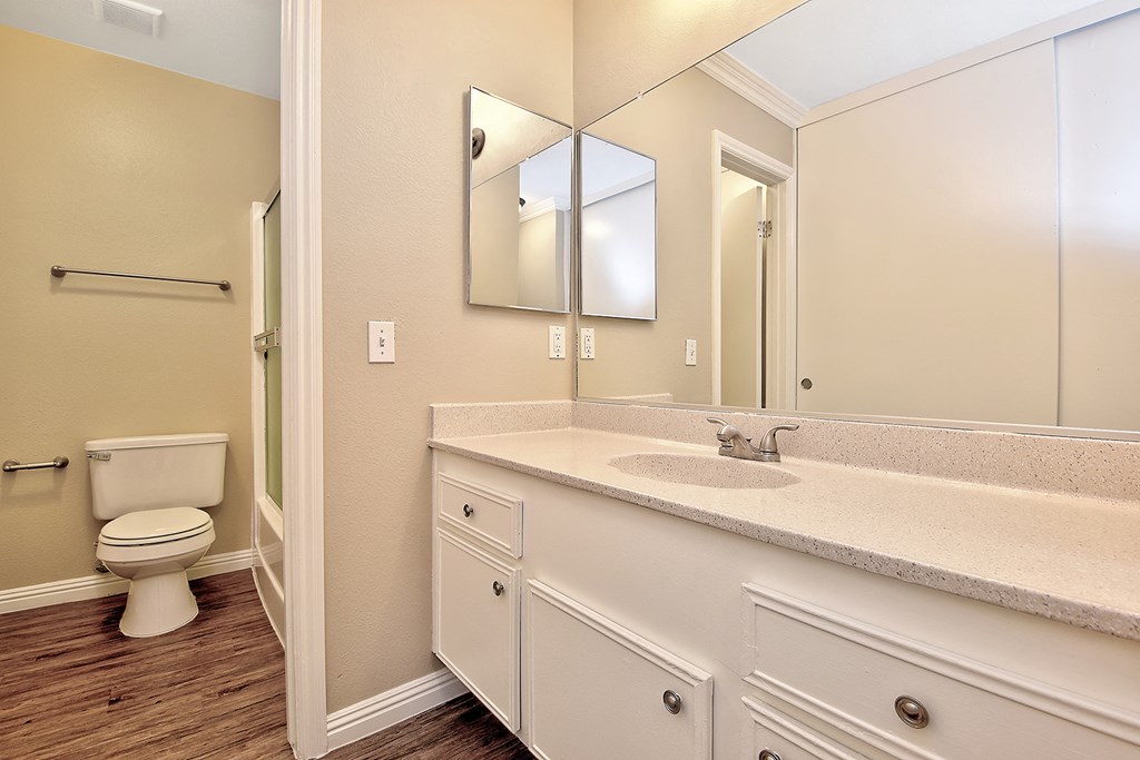 a bathroom with a mirror and a toilet and a sink