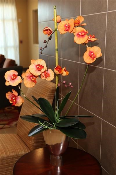 a vase filled with flowers on a table
