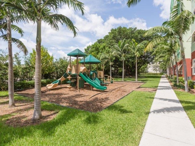 a park with a playground and palm trees