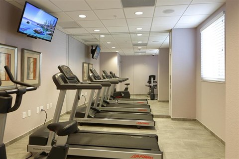 a row of treadmills in a room with a tv