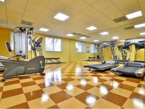 a gym with a bunch of exercise equipment in it