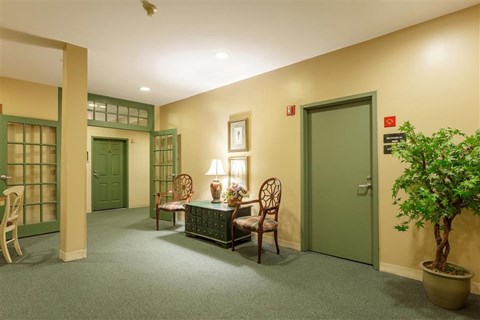 a room with a table and chairs and a plant