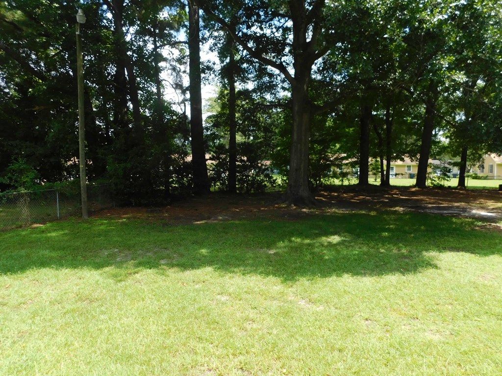 a park with trees and grass and a fence