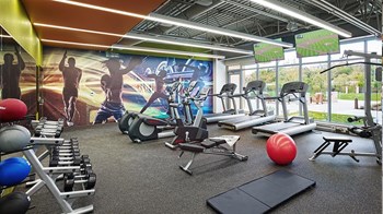 2645 Railroad Street Studio-2 Beds Apartment for Rent - Photo Gallery 6