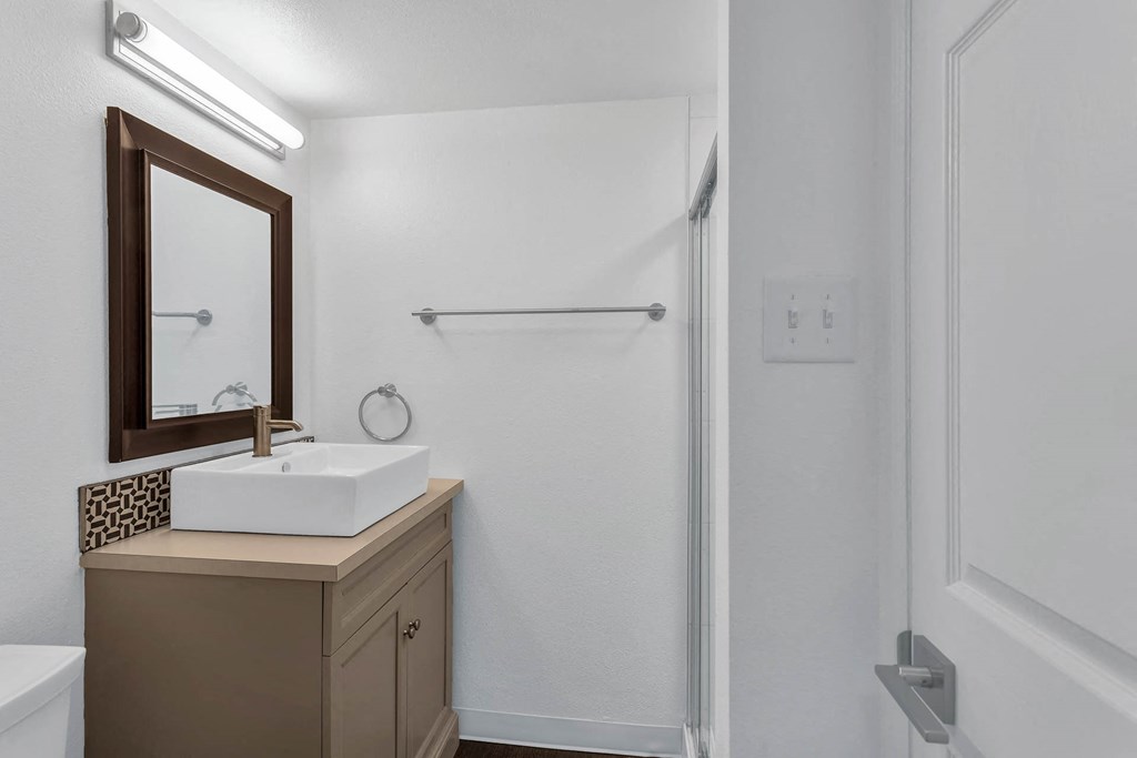 a bathroom with a sink and a shower and a mirror