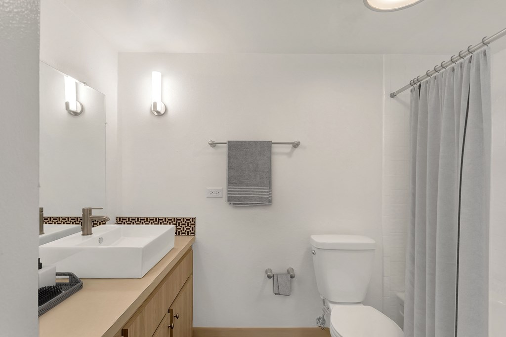 a bathroom with a sink and a toilet and a shower