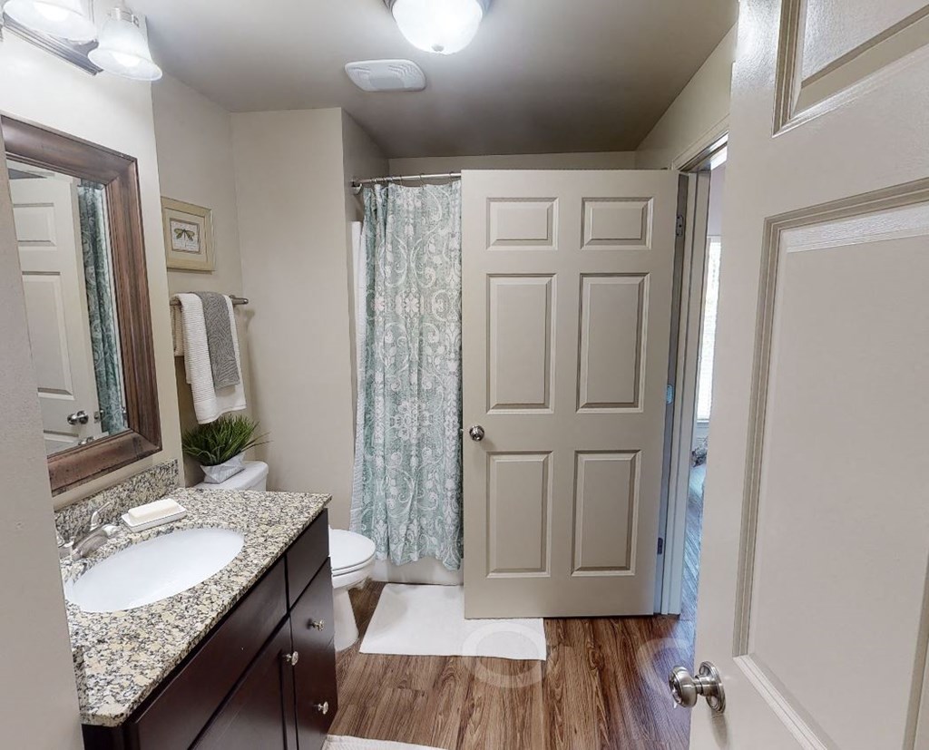 a bathroom with a sink and a toilet