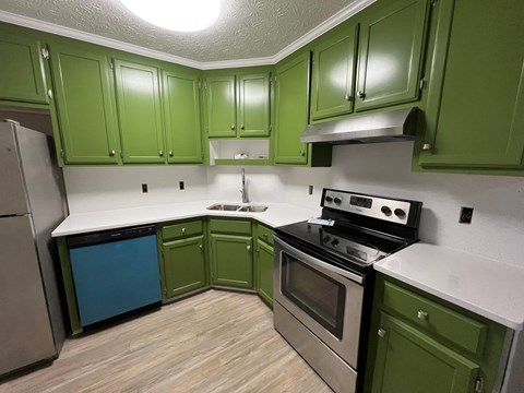 A kitchen with green cabinets and a black stove top oven.