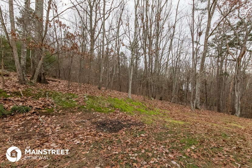 a hiking trail in the woods