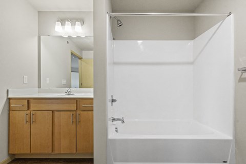 a bathroom with a shower and a sink and a mirror