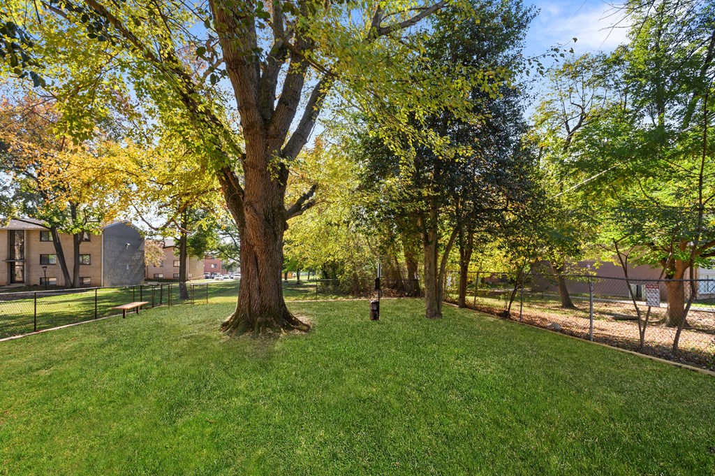 a park with green grass and trees and a fence