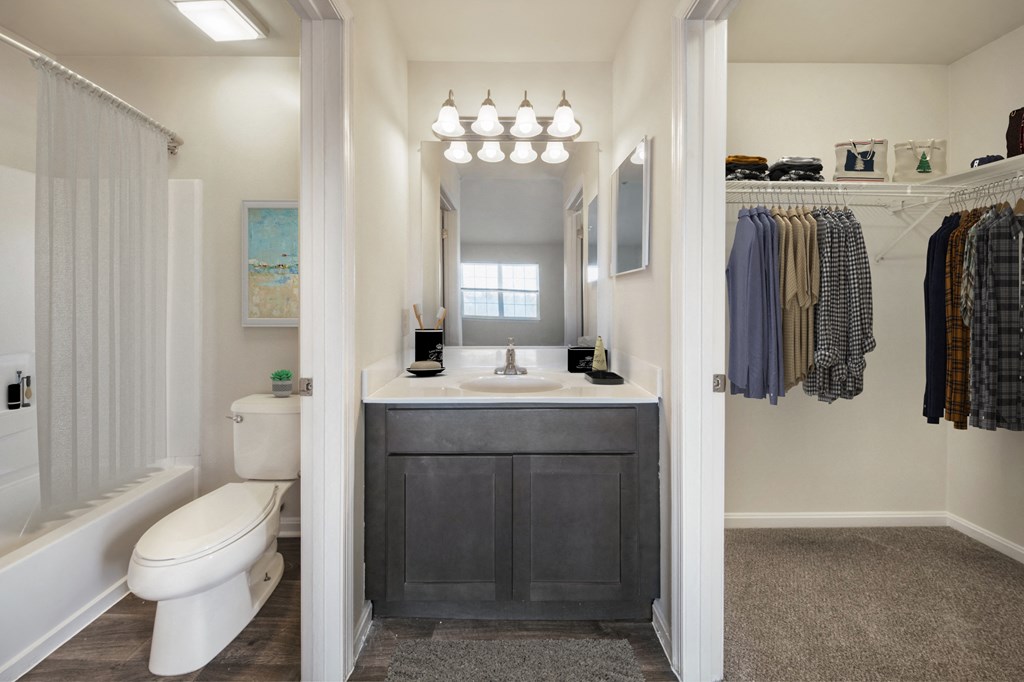 a bathroom with a sink and a toilet and a shower