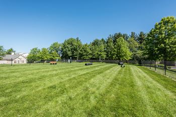 Green Lawn Park at Owings Park Apartments, Owings Mills, Maryland