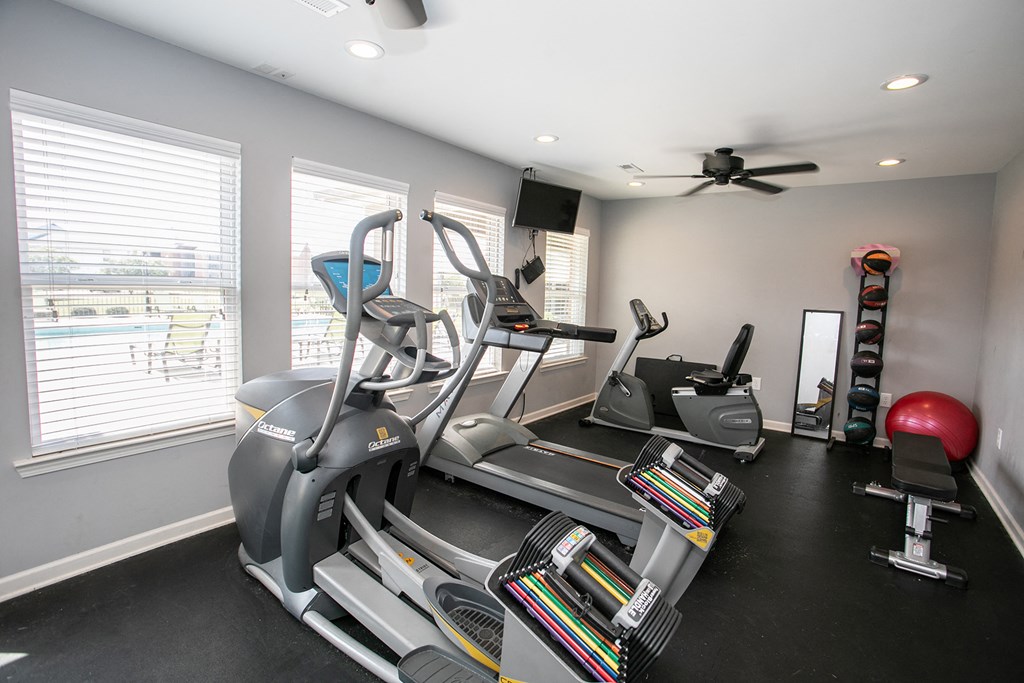 the gym has plenty of cardio equipment including a treadmill and weights