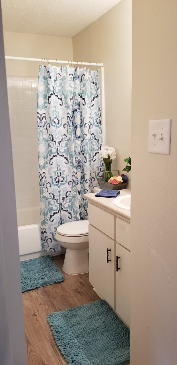 a bathroom with a shower curtain and a toilet and a sink