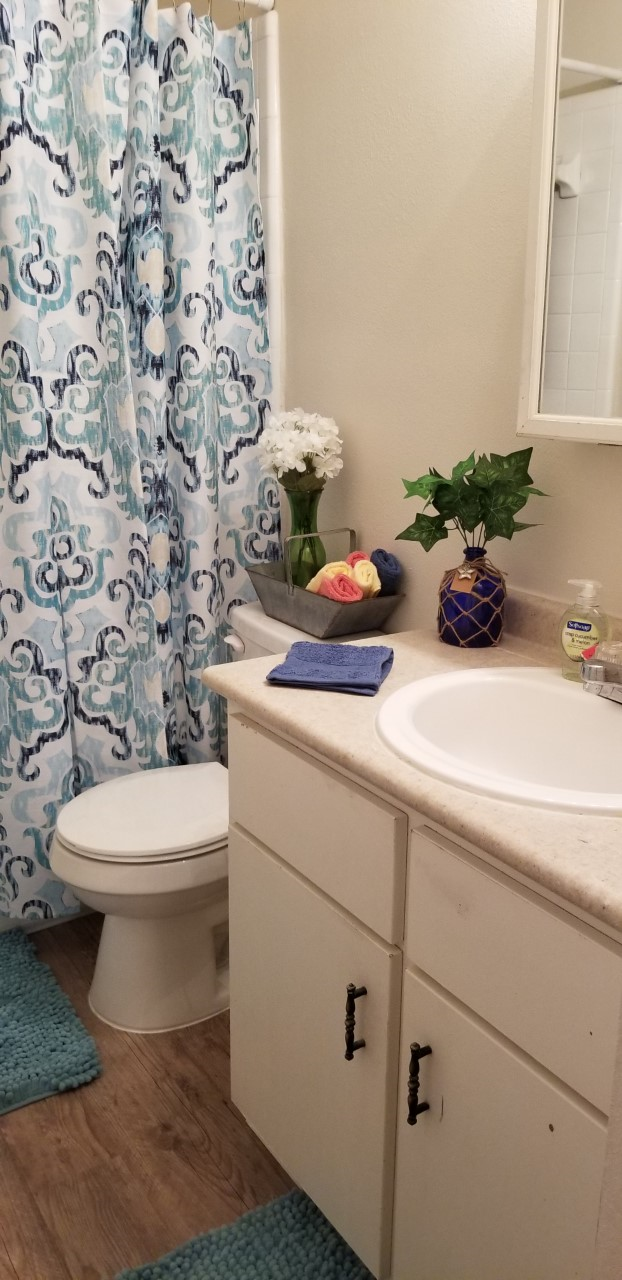 a bathroom with a toilet and a sink and a shower curtain