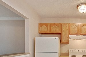 a kitchen with a stove refrigerator and a sink