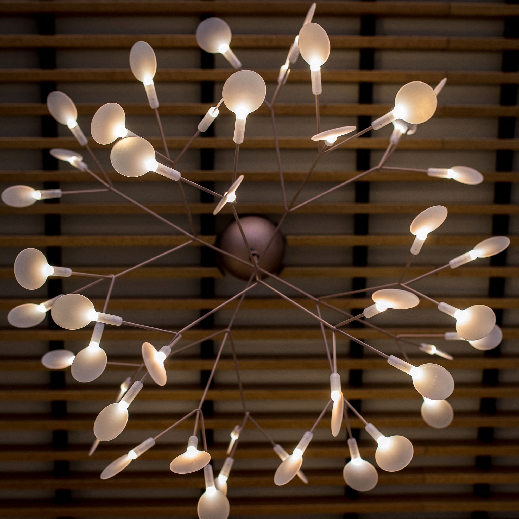 Modern and whimsical lighting fixture