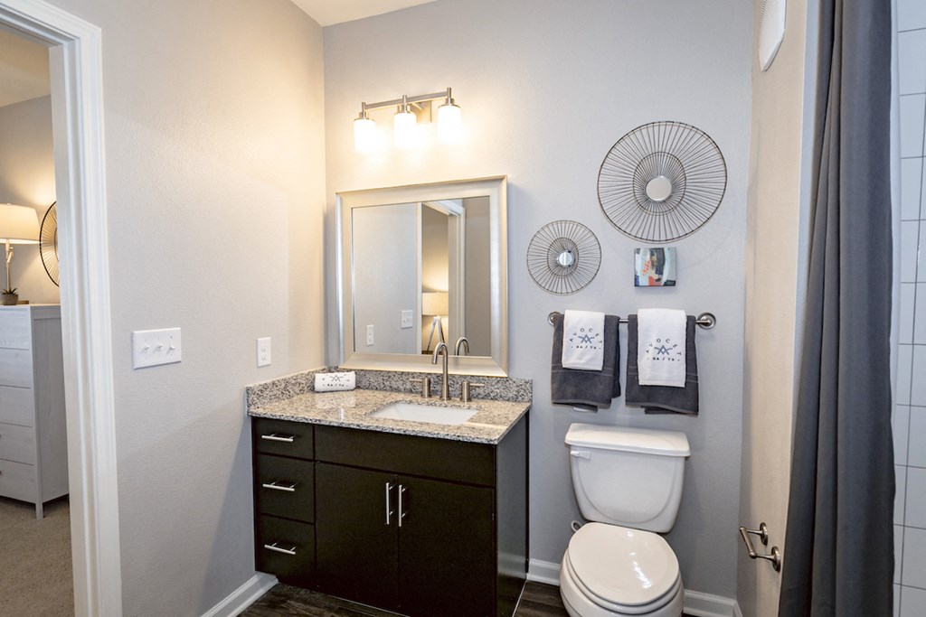 a bathroom with a toilet and a sink and a mirror