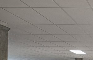 The Scott At Brush Park Apartments 3150 Woodward Ave Detroit Mi Rentcafe