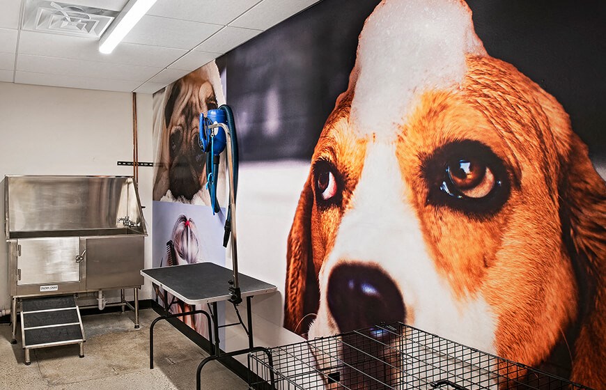 a photo of a pet grooming salon