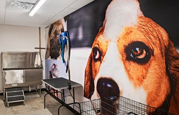 a photo of a pet grooming salon - Photo Gallery 16
