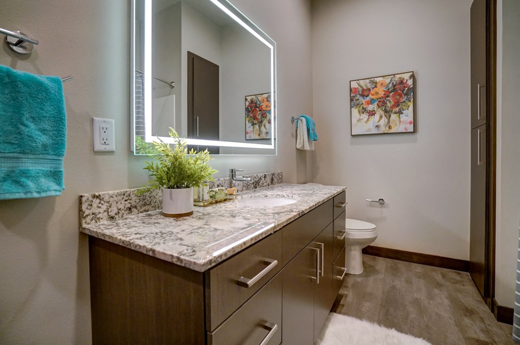 a bathroom with a sink and a mirror and a toilet